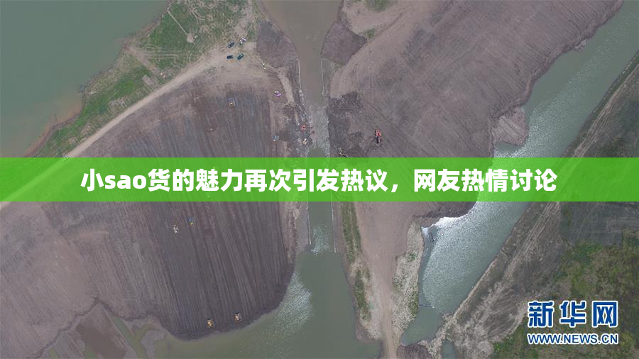 小sao货的魅力再次引发热议，网友热情讨论