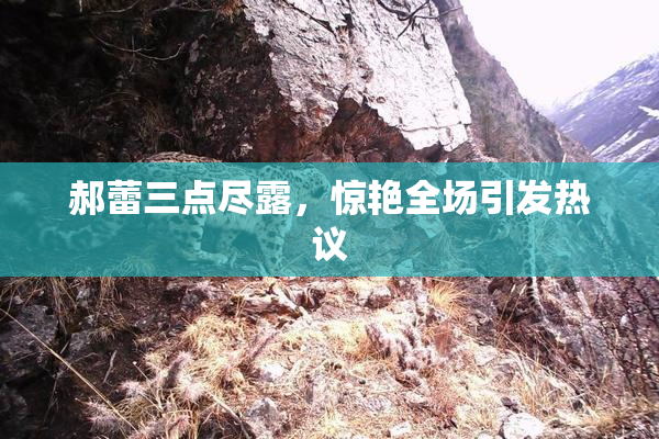郝蕾三点尽露，惊艳全场引发热议