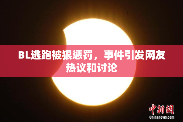 BL逃跑被狠惩罚，事件引发网友热议和讨论