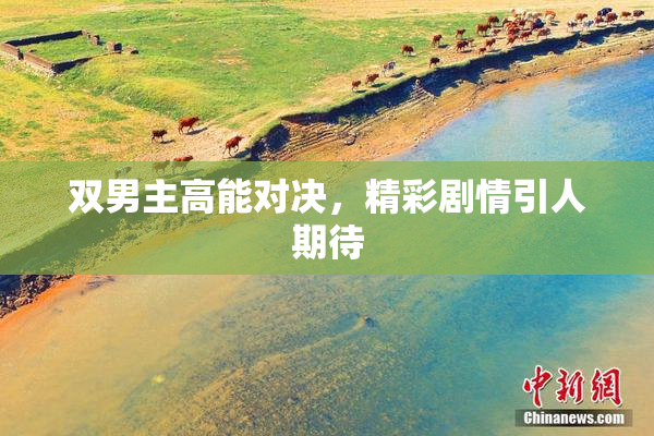 双男主高能对决，精彩剧情引人期待
