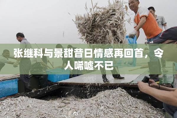 张继科与景甜昔日情感再回首，令人唏嘘不已
