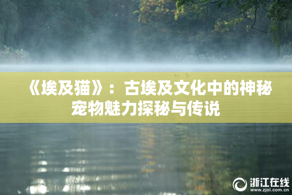 《埃及猫》：古埃及文化中的神秘宠物魅力探秘与传说