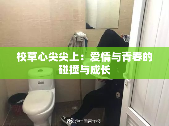 校草心尖尖上：爱情与青春的碰撞与成长