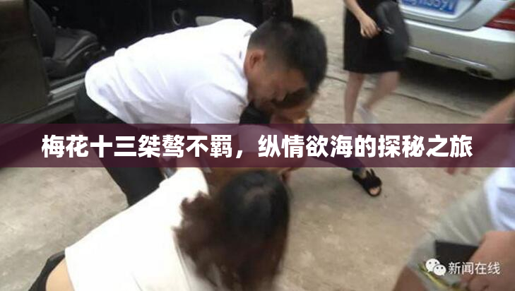 梅花十三桀骜不羁，纵情欲海的探秘之旅