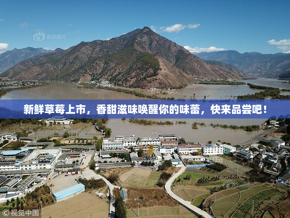 新鲜草莓上市，香甜滋味唤醒你的味蕾，快来品尝吧！