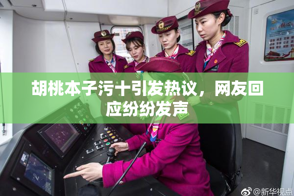 胡桃本子污十引发热议，网友回应纷纷发声