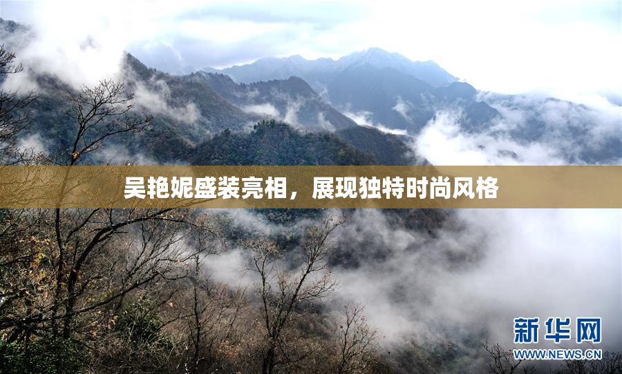 吴艳妮盛装亮相，展现独特时尚风格