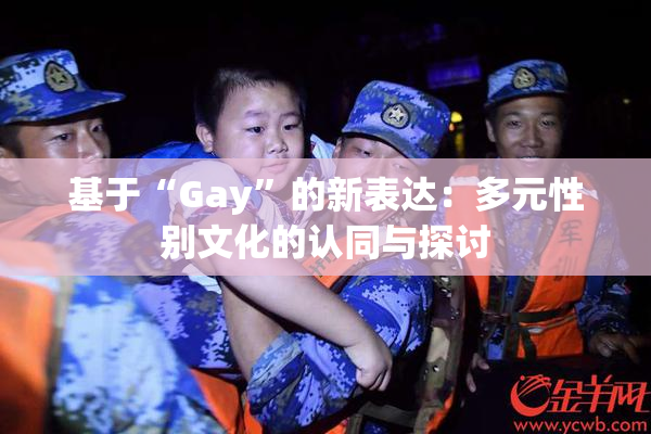 基于“Gay”的新表达：多元性别文化的认同与探讨