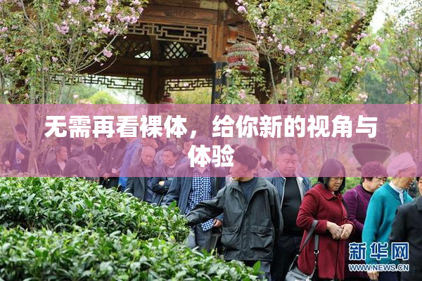 无需再看裸体，给你新的视角与体验