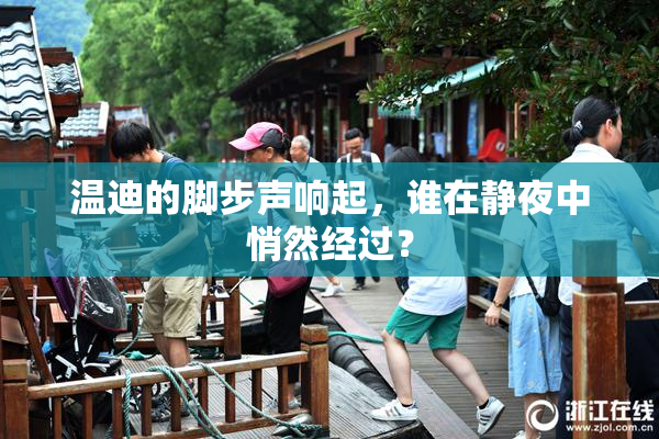温迪的脚步声响起，谁在静夜中悄然经过？