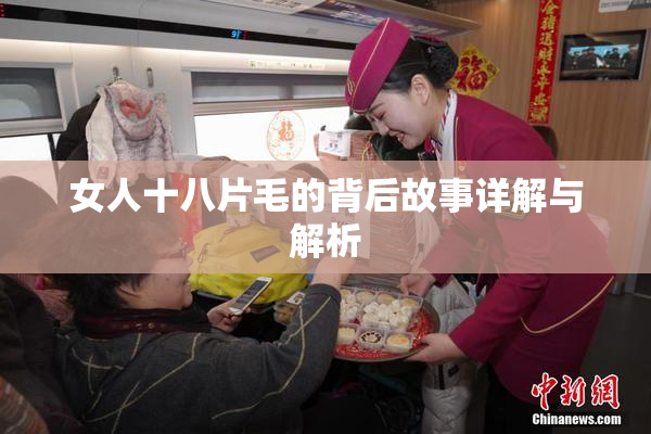 女人十八片毛的背后故事详解与解析