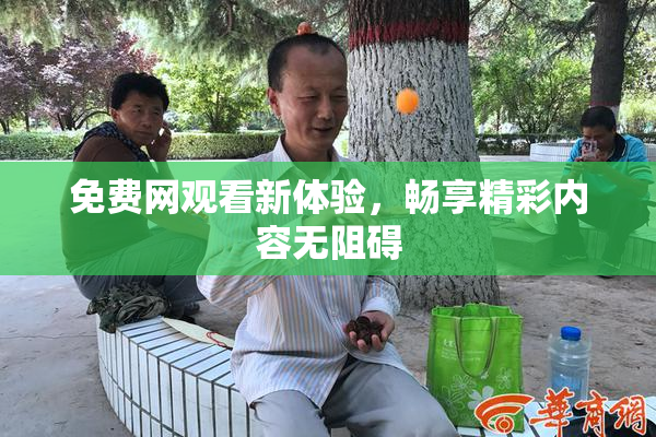 免费网观看新体验，畅享精彩内容无阻碍