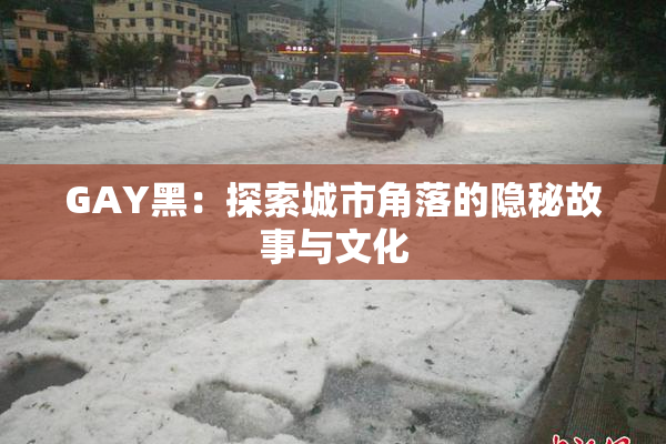 GAY黑：探索城市角落的隐秘故事与文化