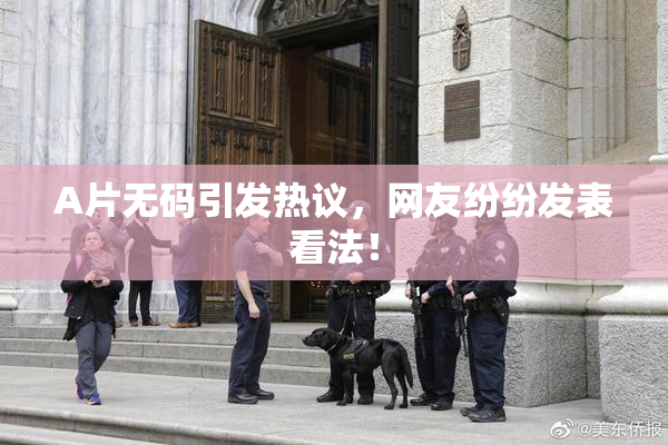 A片无码引发热议，网友纷纷发表看法！