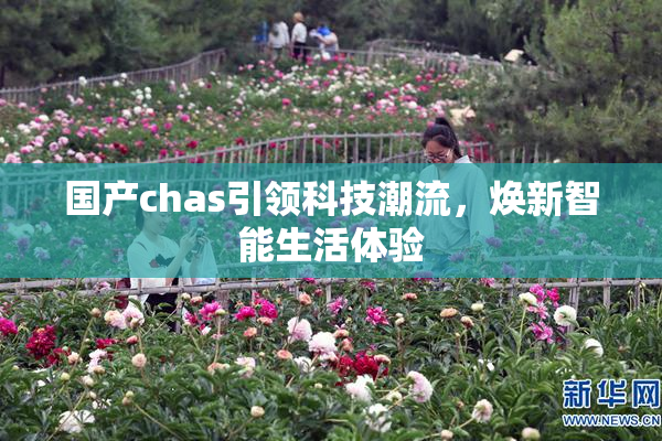 国产chas引领科技潮流，焕新智能生活体验