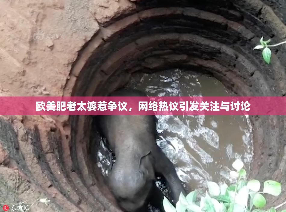 欧美肥老太婆惹争议，网络热议引发关注与讨论