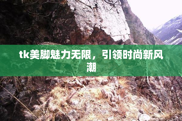 tk美脚魅力无限，引领时尚新风潮