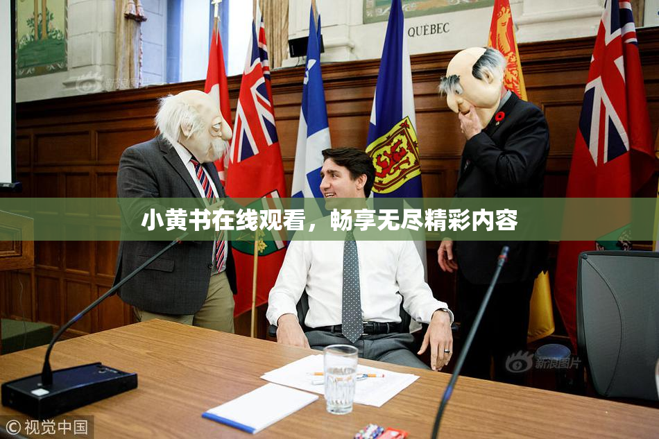 小黄书在线观看，畅享无尽精彩内容