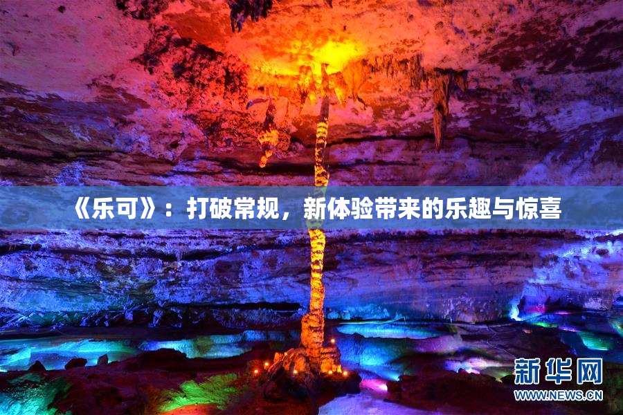 《乐可》：打破常规，新体验带来的乐趣与惊喜
