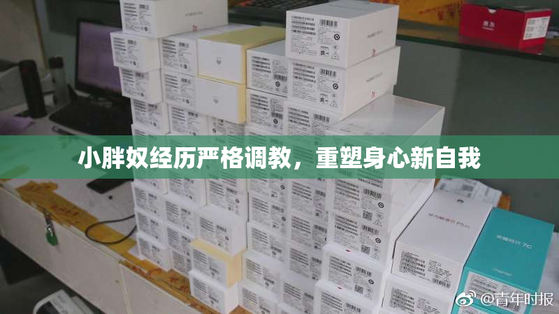 小胖奴经历严格调教，重塑身心新自我