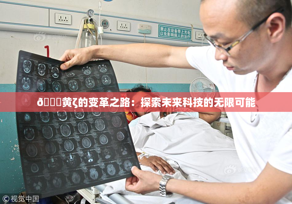🔞黄ζ的变革之路：探索未来科技的无限可能