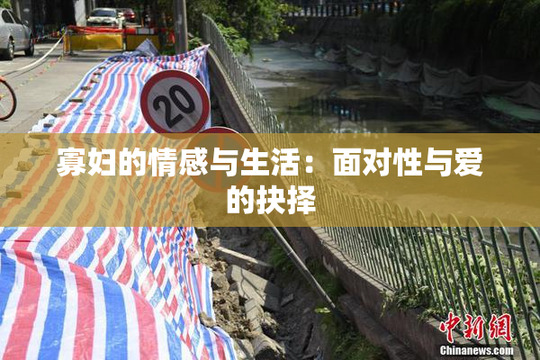 寡妇的情感与生活：面对性与爱的抉择
