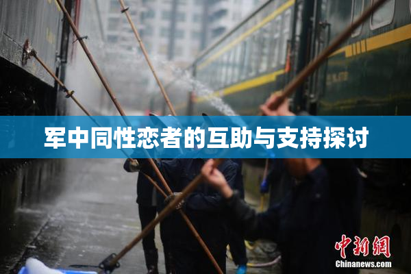 军中同性恋者的互助与支持探讨