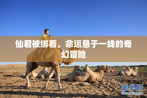 仙君被绑着，命运悬于一线的奇幻冒险
