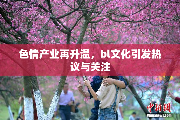 色情产业再升温，bl文化引发热议与关注