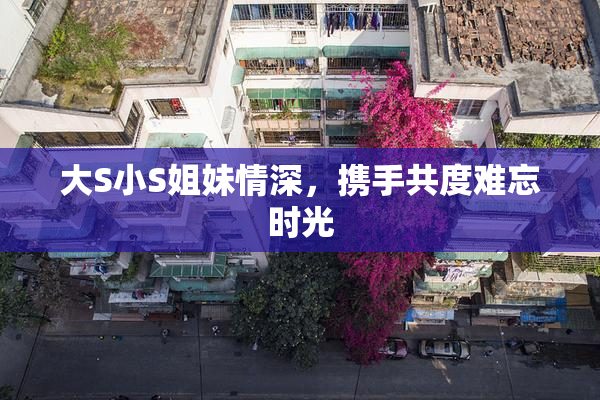 大S小S姐妹情深，携手共度难忘时光
