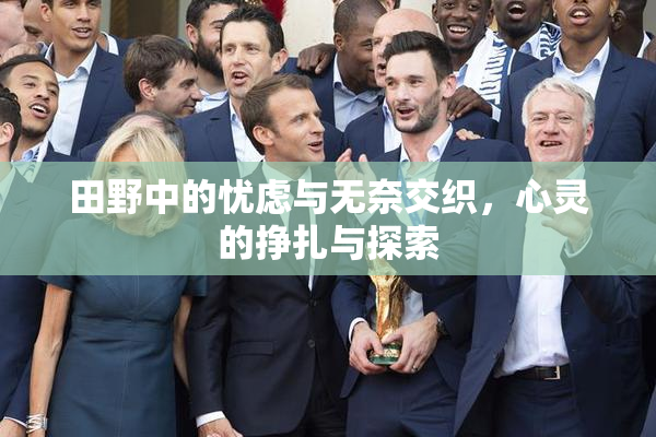 田野中的忧虑与无奈交织，心灵的挣扎与探索