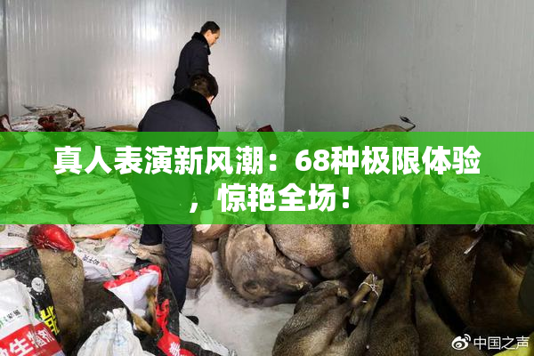真人表演新风潮：68种极限体验，惊艳全场！