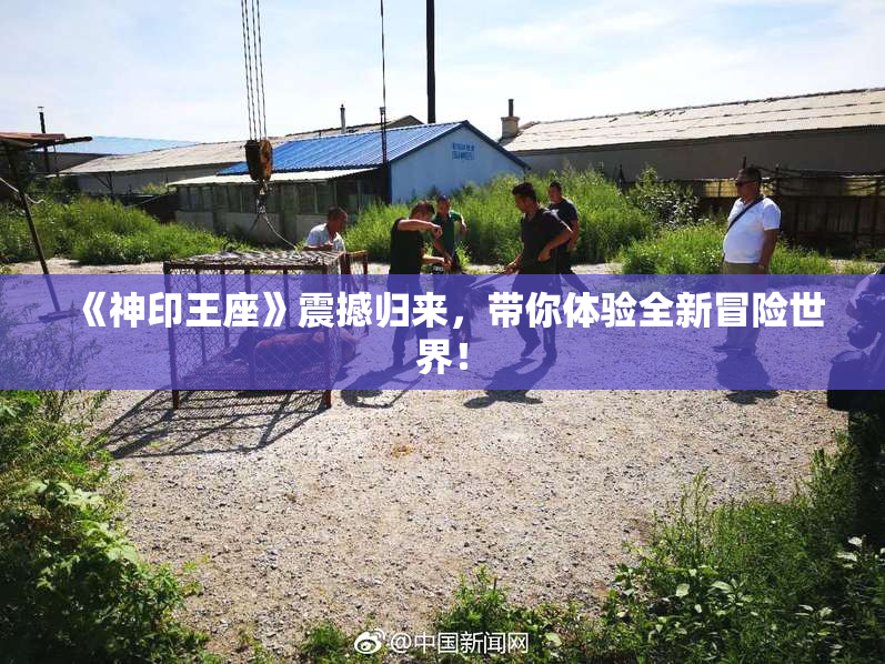 《神印王座》震撼归来，带你体验全新冒险世界！