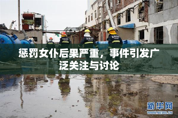 惩罚女仆后果严重，事件引发广泛关注与讨论