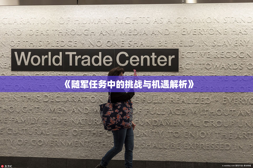 《随军任务中的挑战与机遇解析》