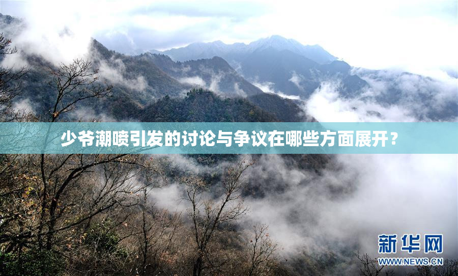 少爷潮喷引发的讨论与争议在哪些方面展开？