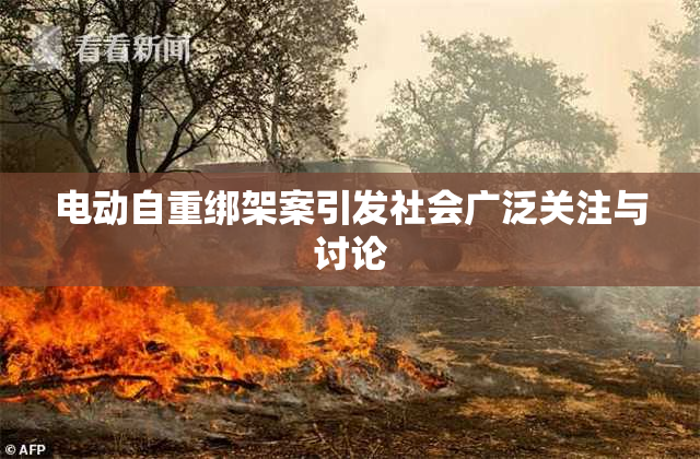 电动自重绑架案引发社会广泛关注与讨论