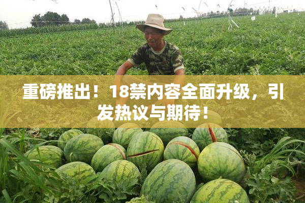 重磅推出！18禁内容全面升级，引发热议与期待！