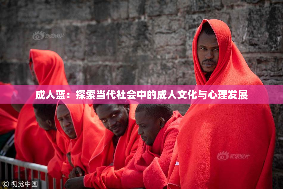 成人蓝：探索当代社会中的成人文化与心理发展