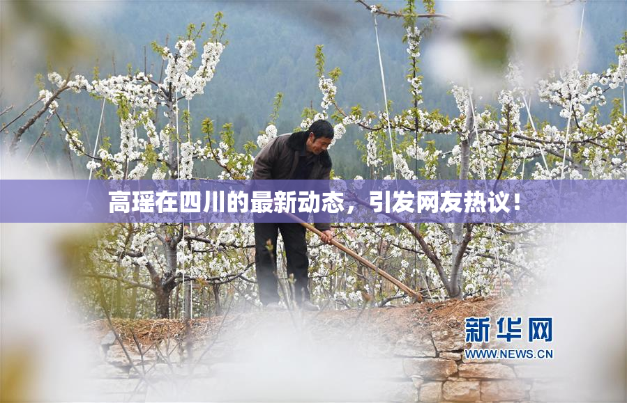 高瑶在四川的最新动态，引发网友热议！