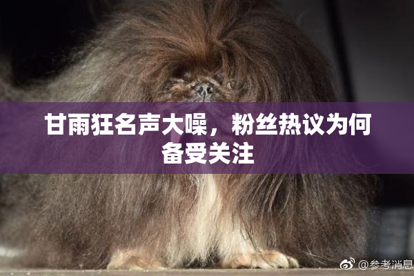 甘雨狂名声大噪，粉丝热议为何备受关注