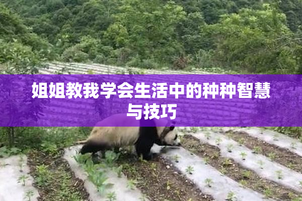 姐姐教我学会生活中的种种智慧与技巧