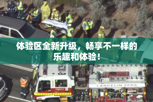 体验区全新升级，畅享不一样的乐趣和体验！