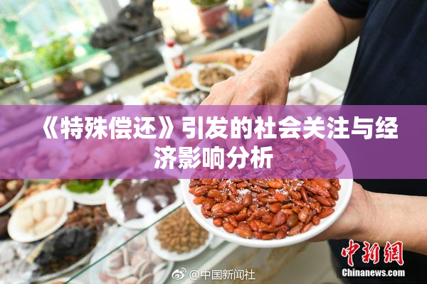 《特殊偿还》引发的社会关注与经济影响分析