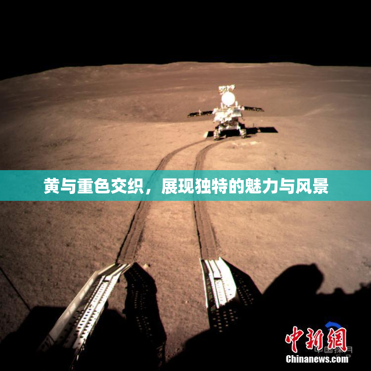 黄与重色交织，展现独特的魅力与风景