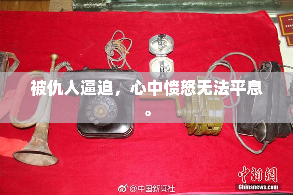 被仇人逼迫，心中愤怒无法平息。