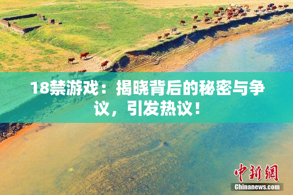 18禁游戏：揭晓背后的秘密与争议，引发热议！