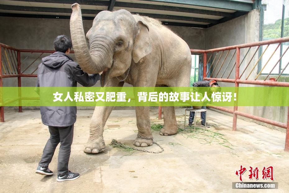 女人私密又肥重，背后的故事让人惊讶！