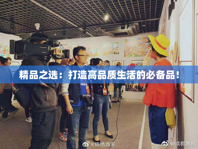 精品之选：打造高品质生活的必备品！