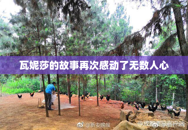 瓦妮莎的故事再次感动了无数人心